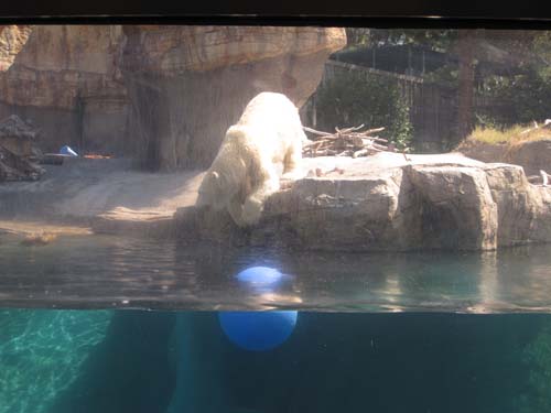 Tom Hoeck checking the water temperature