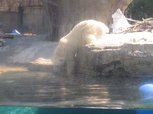 Tom Hoeck image of one toe in the water