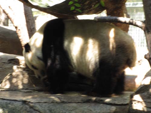 Tom Hoeck photo waking up from a nap