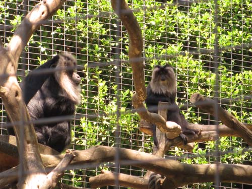 Tom Hoeck photo of two guys sitting in the tree talking about stuff