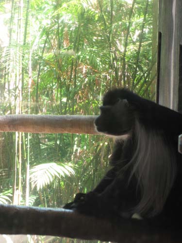 Tom Hoeck image taking a snack while on duty