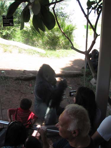 Tom Hoeck image trying to get some food and cool off a bit